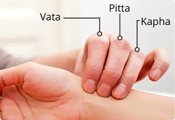 Nadi Pareeksha